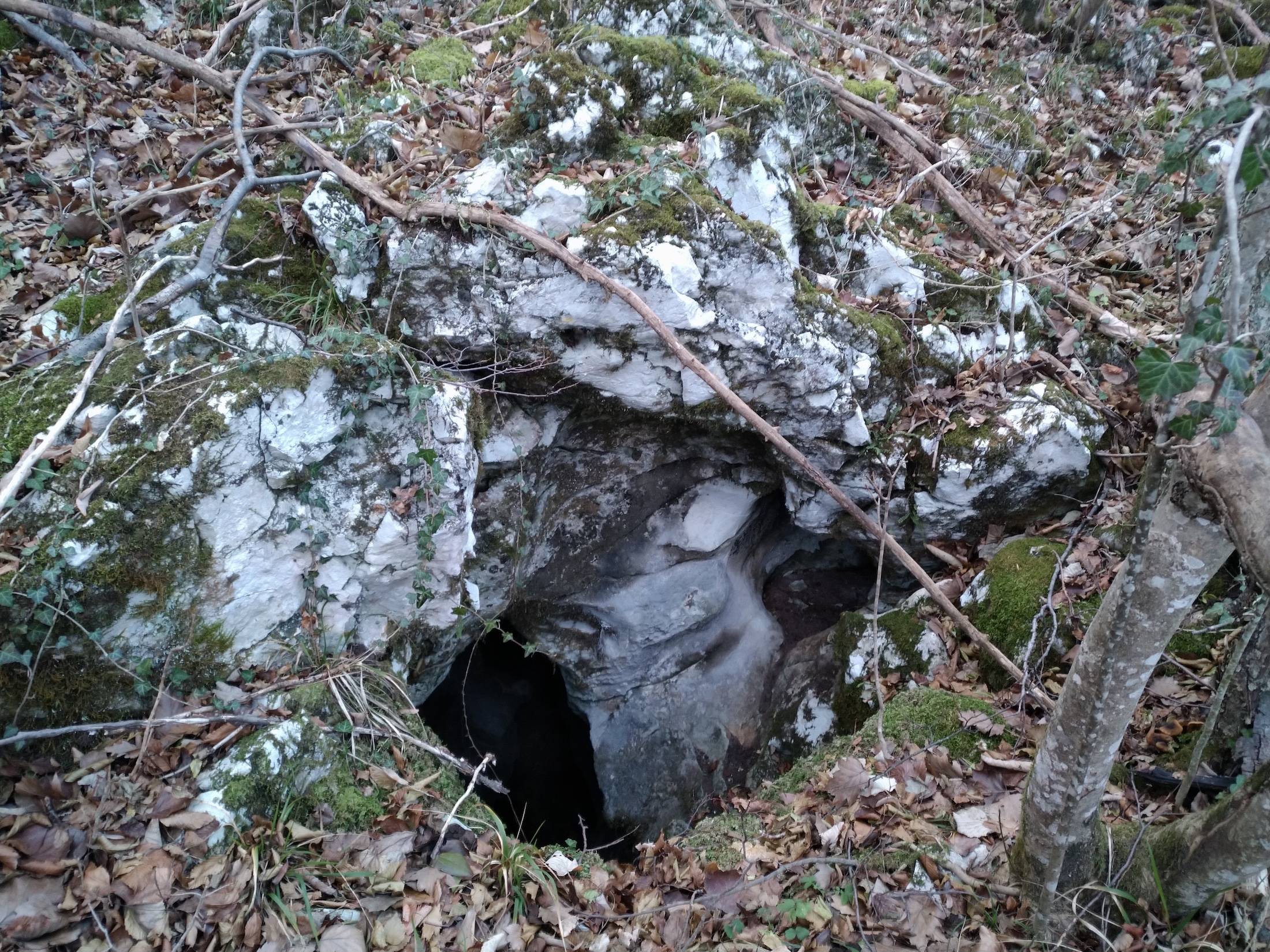 Avenul cu Doua Intrari - Image 2